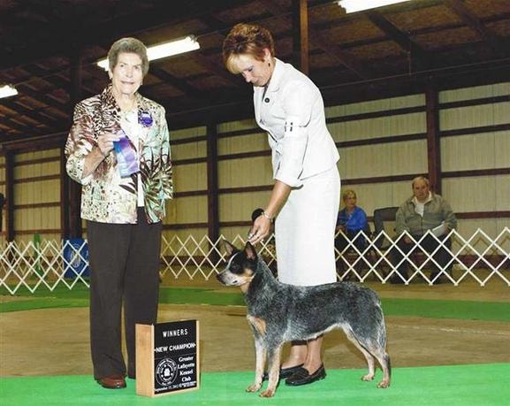 AKC CH TLC's Best Kept Secret