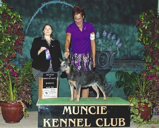 AKC CH TLC's Un Zip Those Just For Me