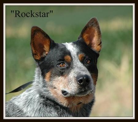 Rockstar