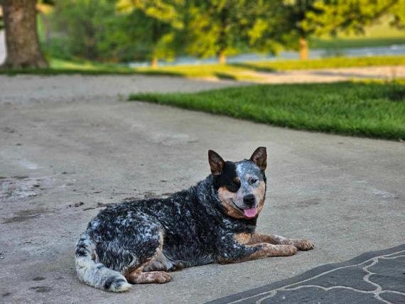 Oakley — TLC'S She's A Sharp Shooter