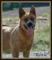 Roxie